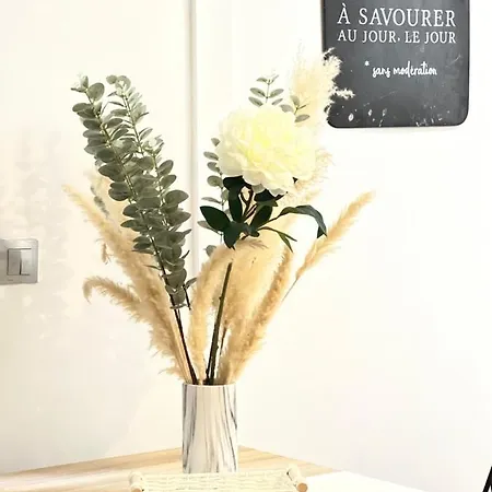 Le Miramar - Clim, Parking, Wifi Et Piscine