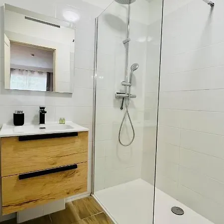 Le Miramar - Clim, Parking, Wifi Et Piscine * ניס