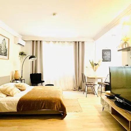 Le Miramar - Clim, Parking, Wifi Et Piscine 公寓 尼斯