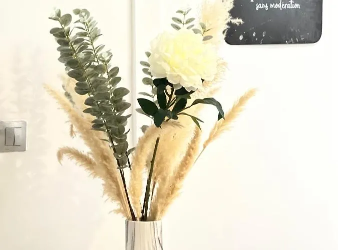 Le Miramar - Clim, Parking, Wifi Et Piscine