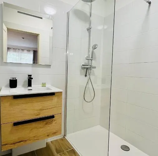 Le Miramar - Clim, Parking, Wifi Et Piscine * Nizza