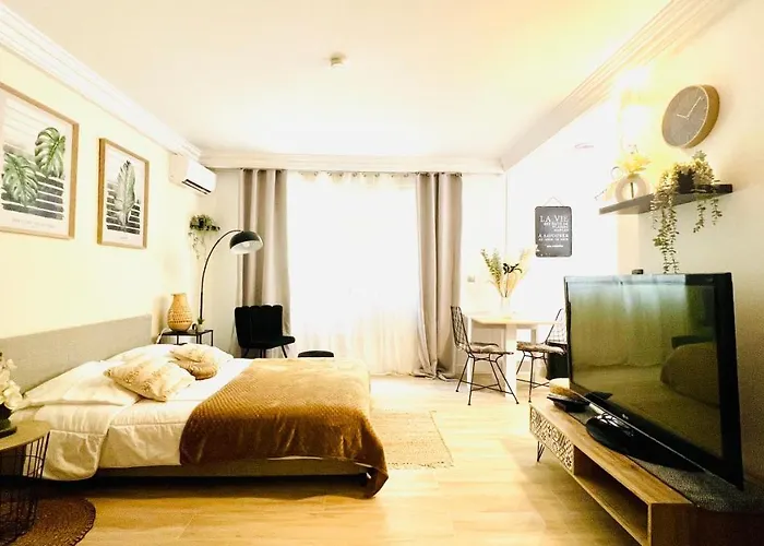 Le Miramar - Clim, Parking, Wifi Et Piscine Apartman Nizza